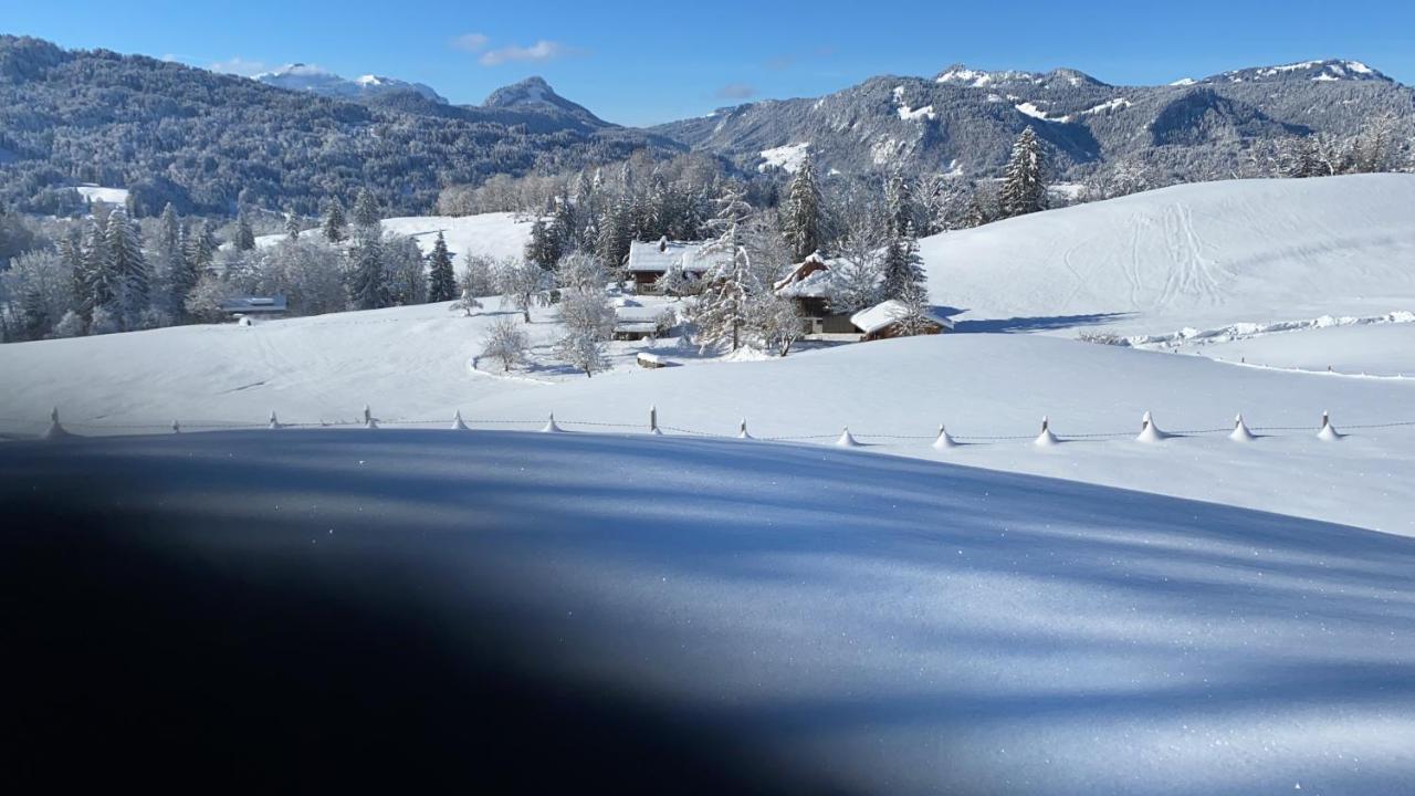 Landhaus Am Plattenbichl - Luxus Apartment Mit Privat-Pool Und Sauna - Im Sommer Bergbahn Inklusive 奥伯斯特多夫 外观 照片